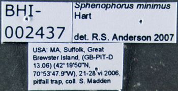 Media type: image;   Entomology 603342 Aspect: labels
